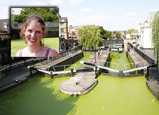 Invasion of green menace threatens Regent’s Canal’s wildlife news080411_01