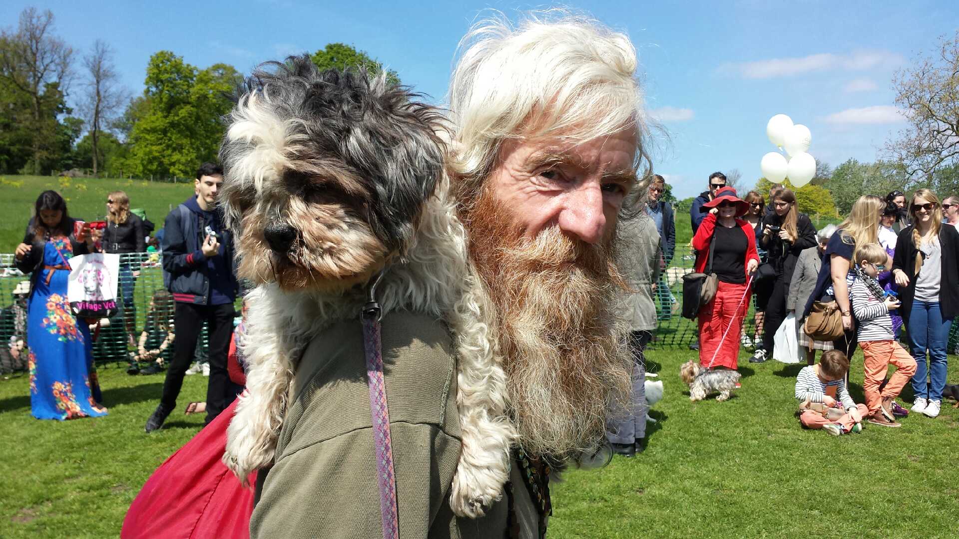 Great Hampstead Bark Off draws scores of dogs to Hampstead Heath