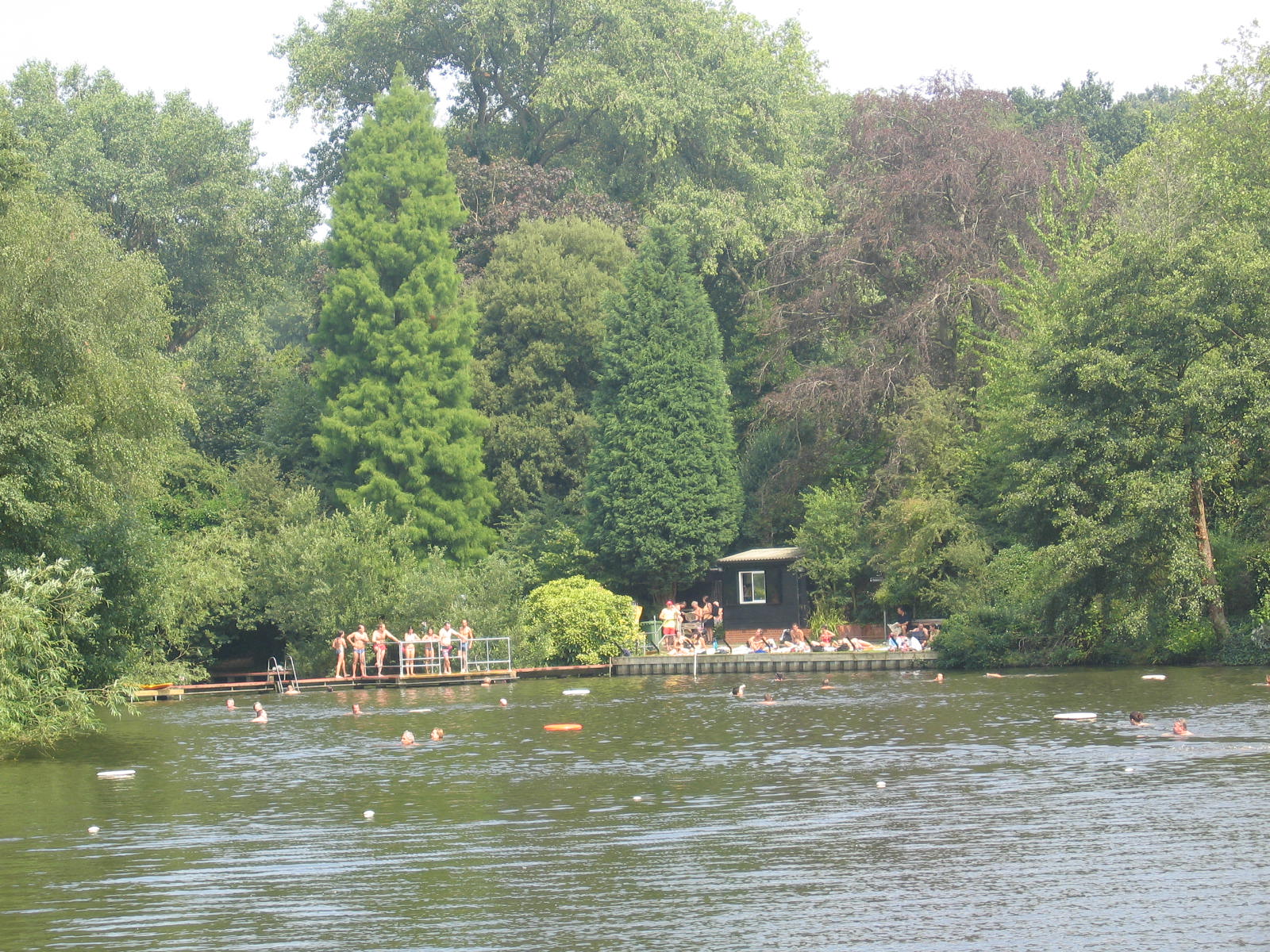 mixedponds