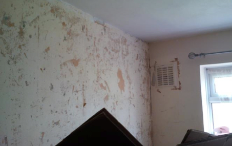 mould