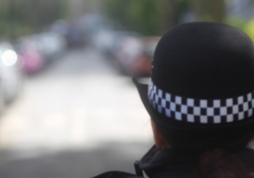 Croydon cat killer campaign group links West Hampstead animal death policehat-1_0_0_1