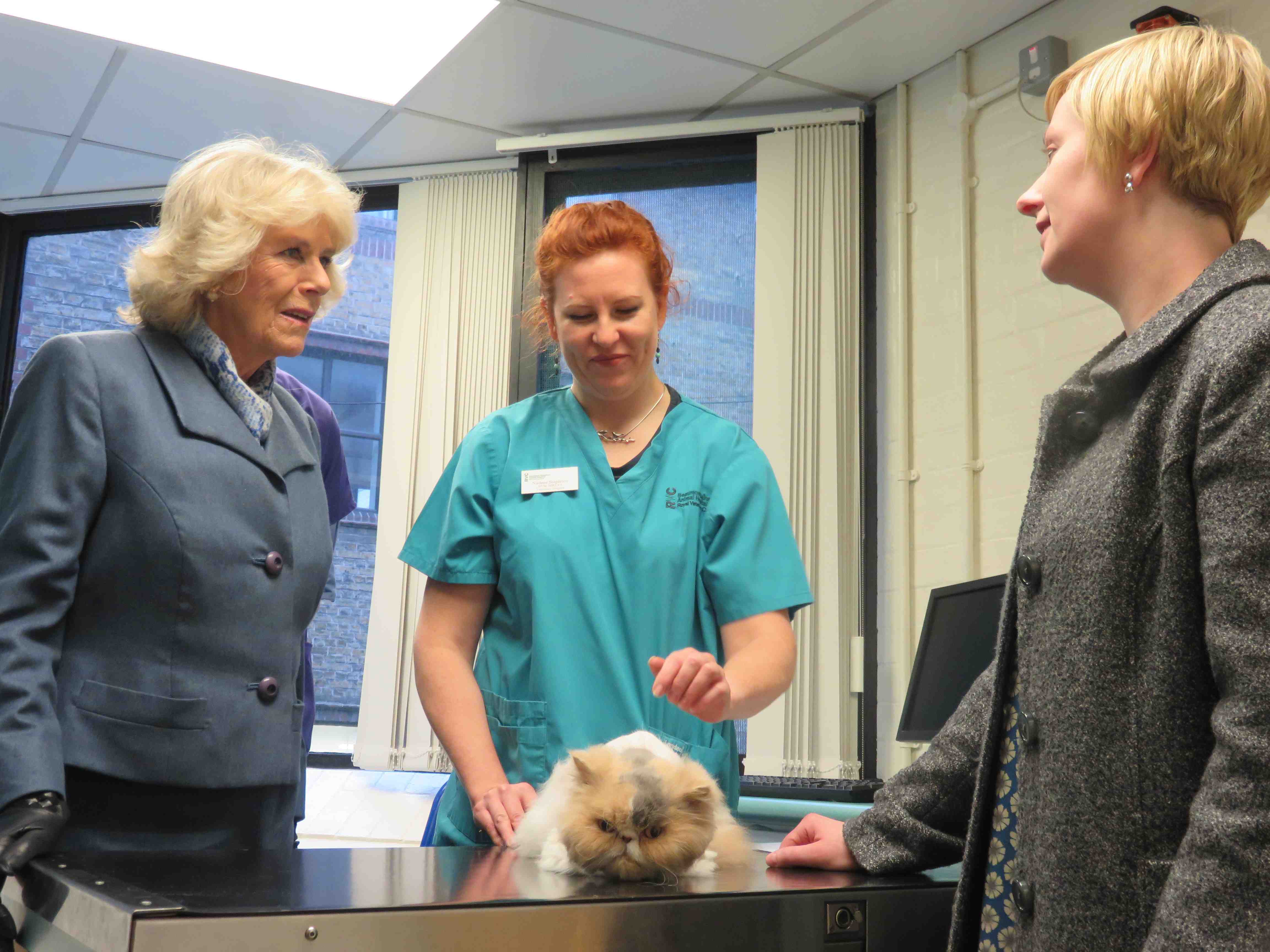 In pictures Duchess of Cornwall visits Camden Town animal hospital
