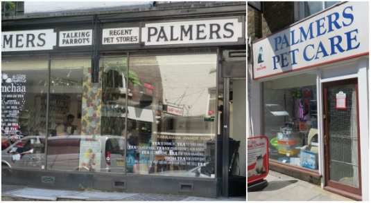 palmers2