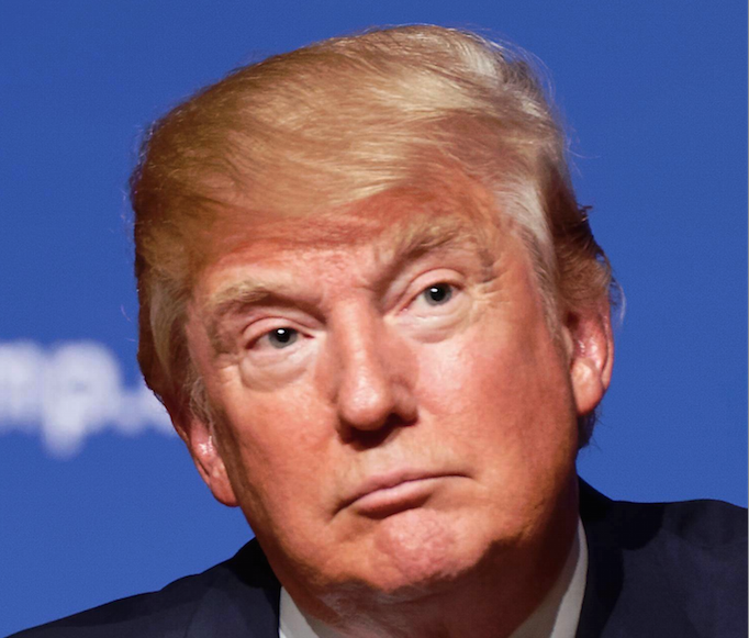 Donald Trump pic Michael Vadon