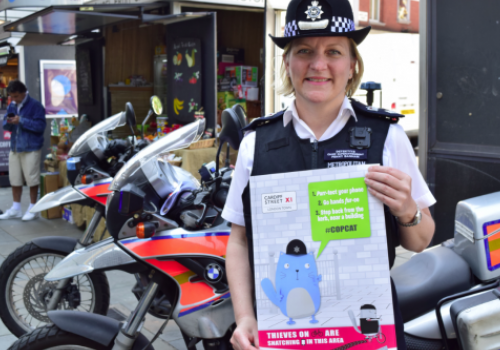Camden and Islington in police merger Camden police borough commander Penny Banham