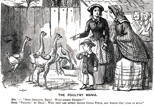 Crying fowl! Camden History Review sheds light on ‘Hen mania’ Poking fun at mania for new large Cochin-China poultry
