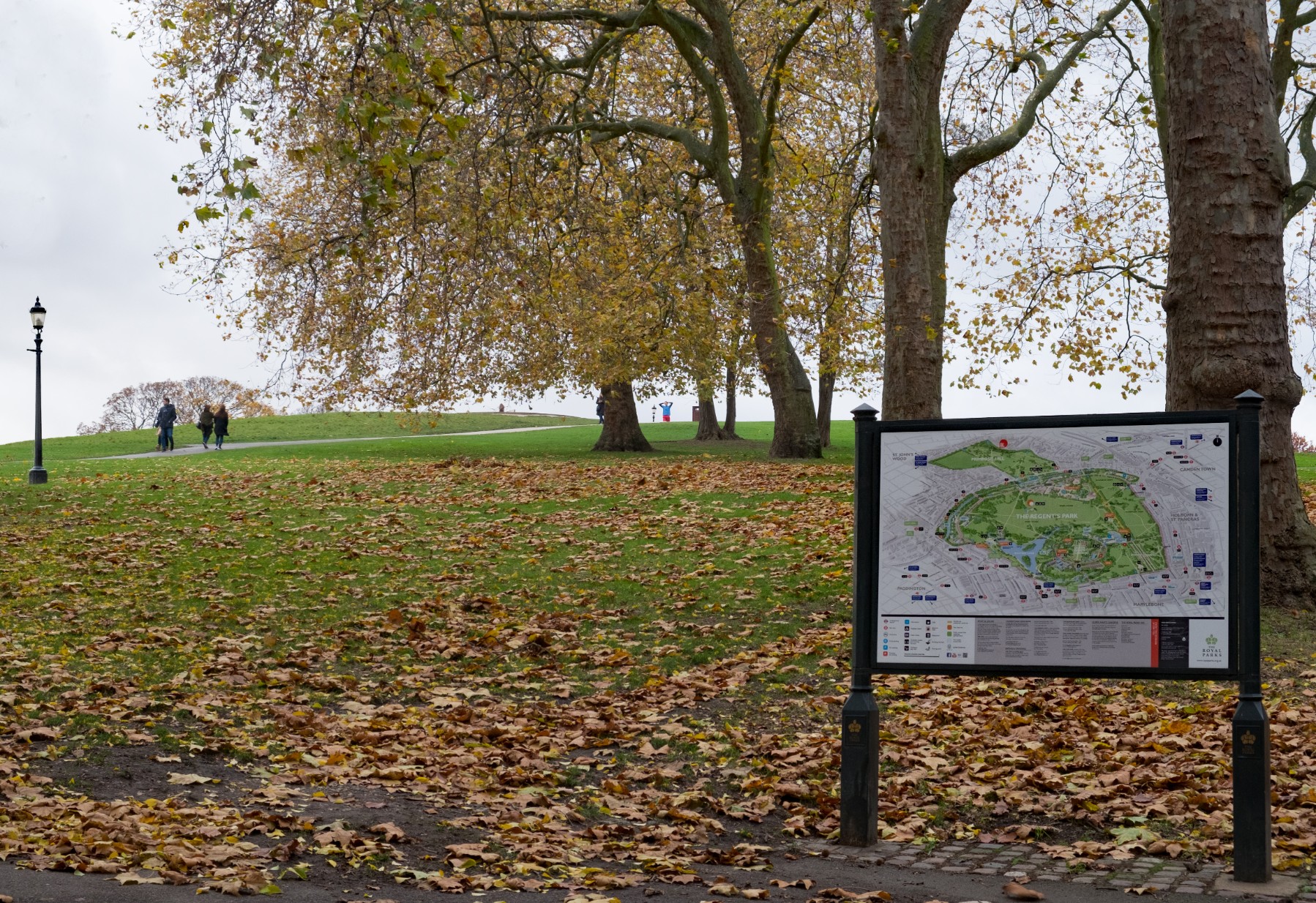 Primrose Hill-Primrose Hill002-2016