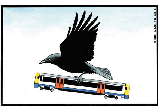 John Sadler crow