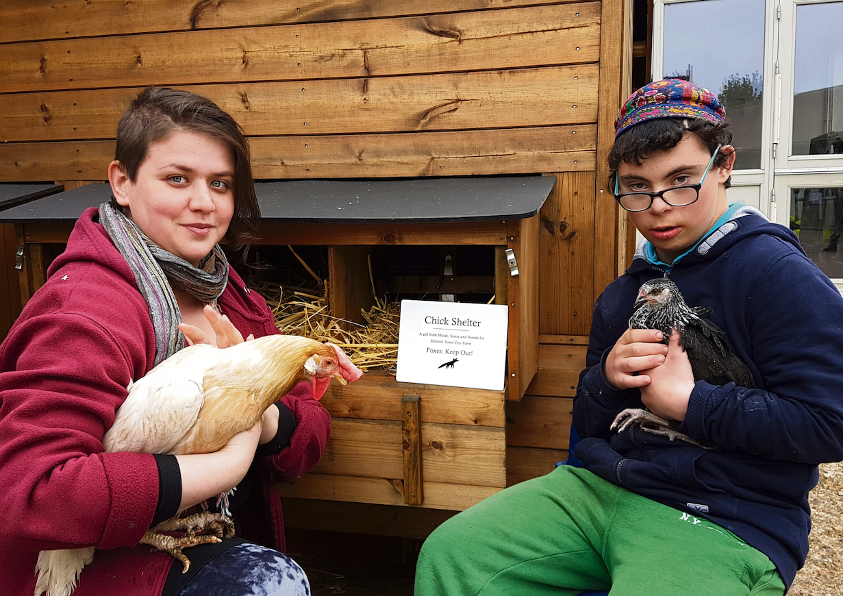 Schoolboy uses Bar Mitzvah money to buy new chicken coop for Kentish Town City Farm KtFarm