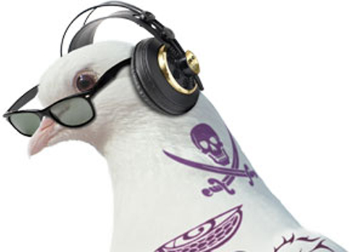 Camden Fringe pigeon logo