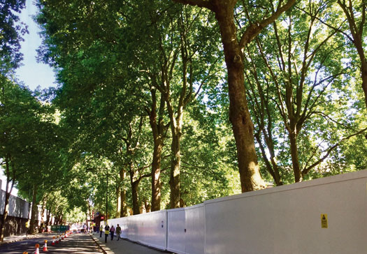 trees