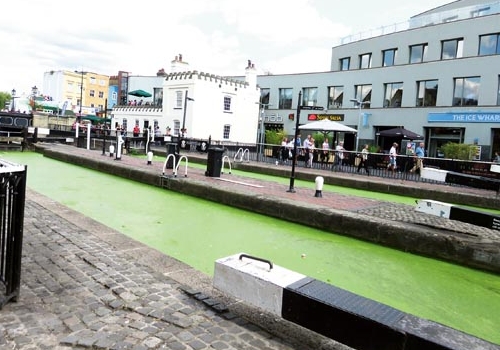Camden is hot favourite to be named ‘London Borough of Culture’ Canal at Camden Lock with green duckweed