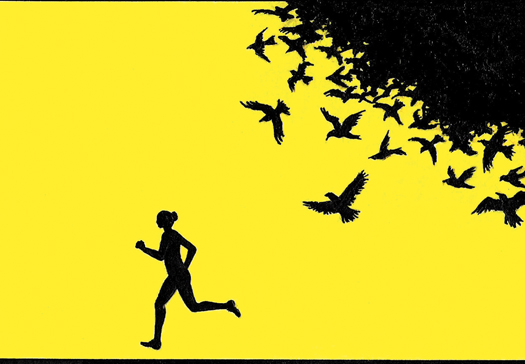 Birds cartoon