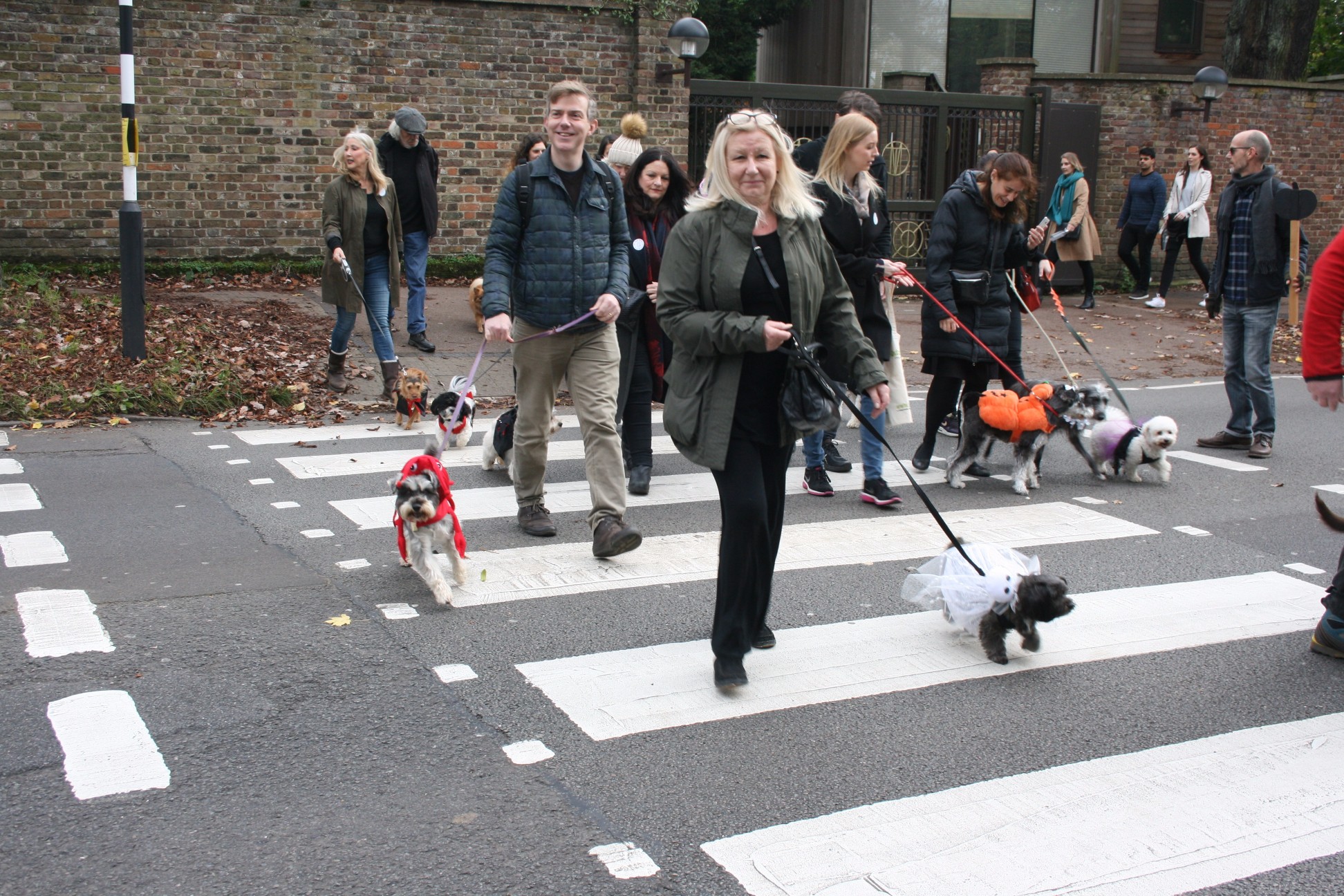 It’s the Halloween dog walk in Hampstead IMG_6969