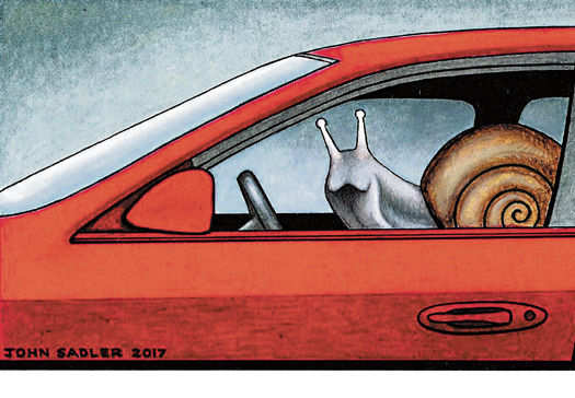 Snail drive cartoon