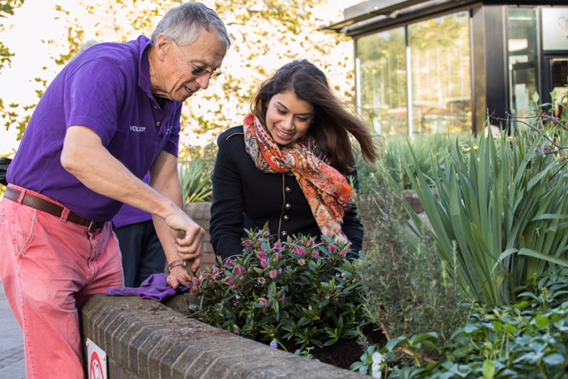 MP Tulip Siddiq visits community garden planted on hospital wasteland Tulip and Malcolm