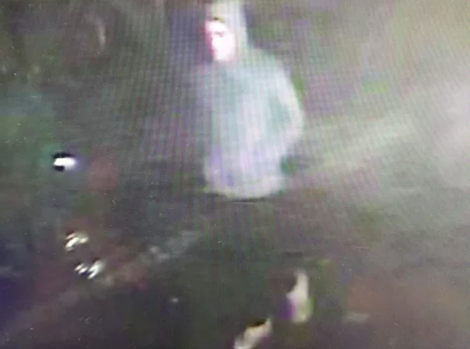Do you know this man? Police seek witness to start of fatal fire in Hampstead dalehamgardens