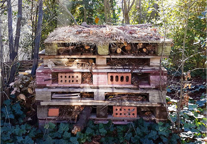 Beetle Hotel