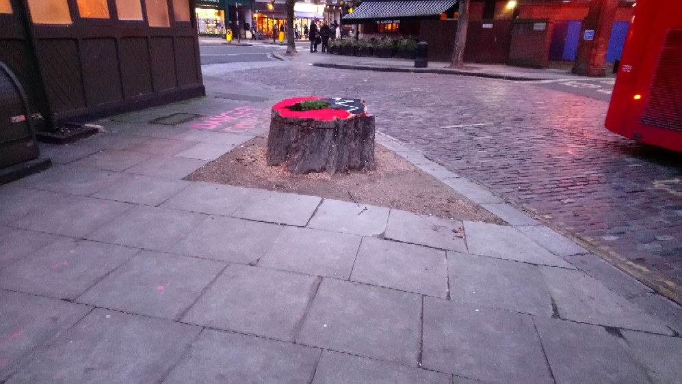 ‘The lung of South End Green’: Paint protest over trees cut down in Hampstead south end green