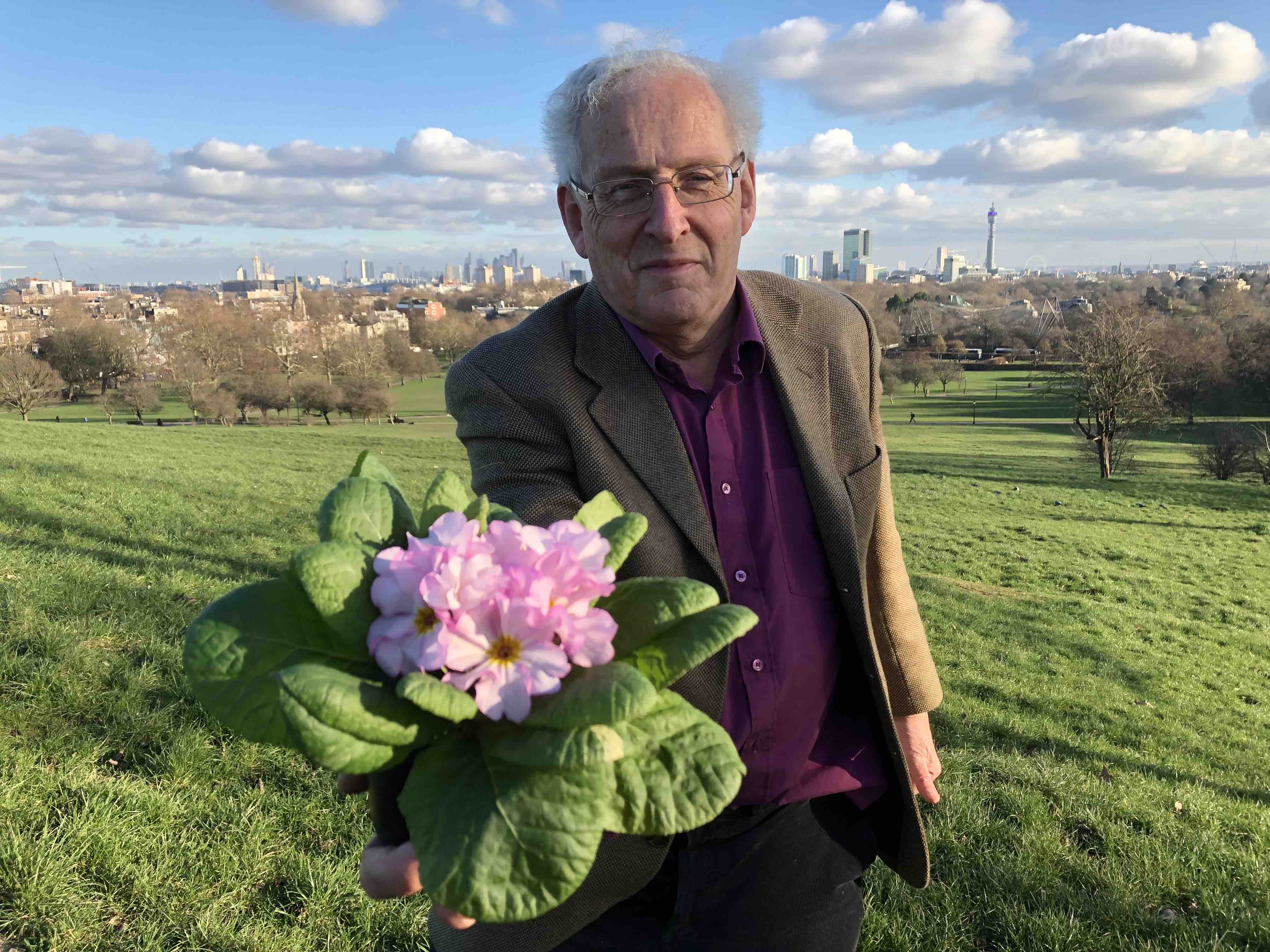 Local historian Martin Sheppard with a pink primrose. The ones planted were the traditional yellow