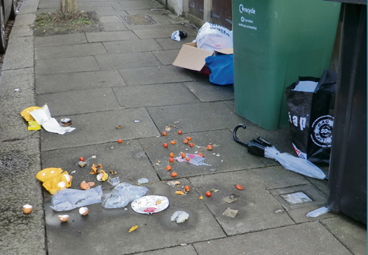 rubbish mcleod