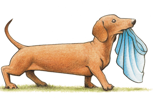 Dog trunks cartoon