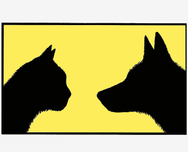 Cat and Fox cartoon_John Sadler