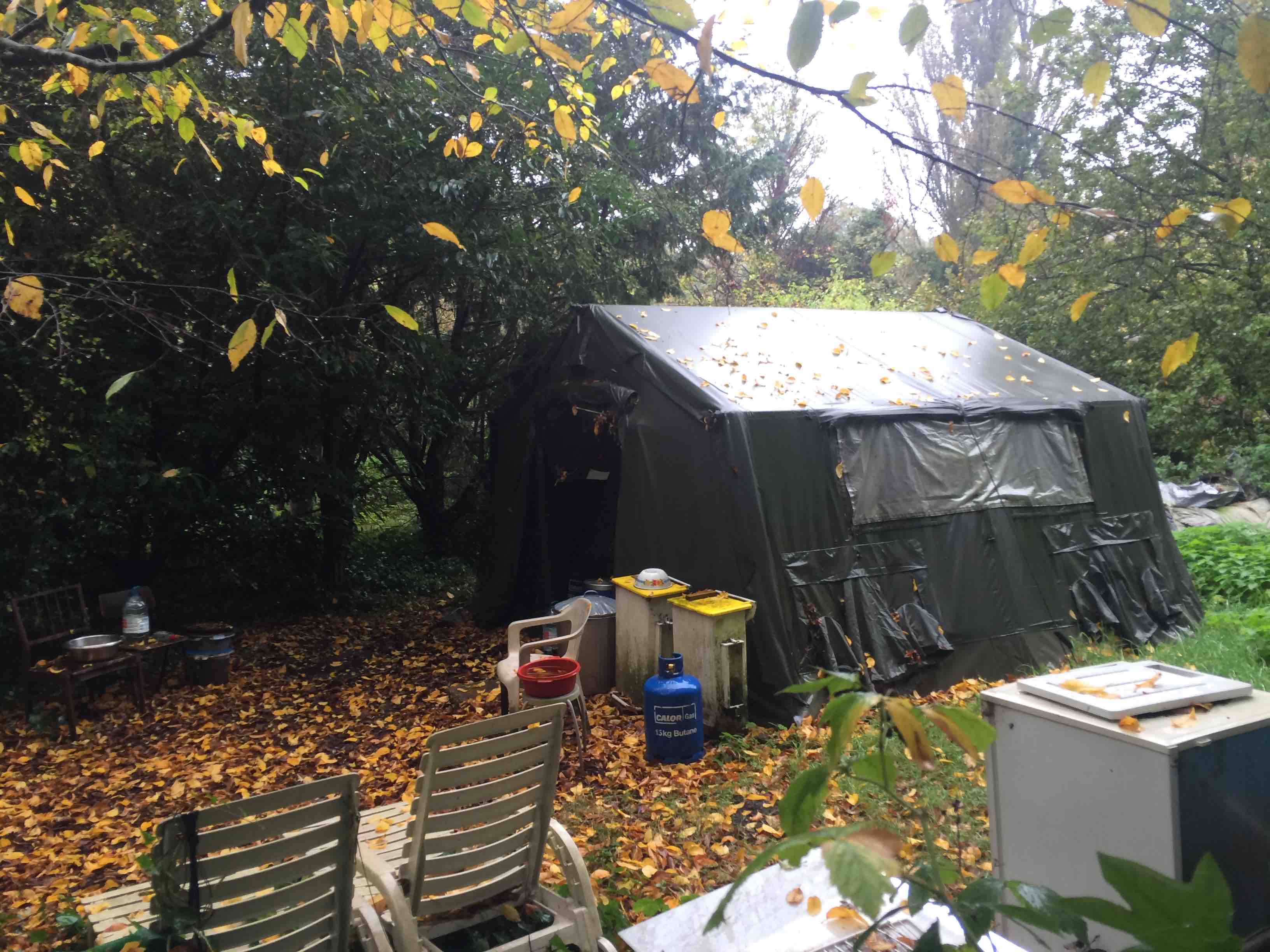 harry hermit land