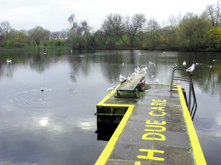 Men's Pond