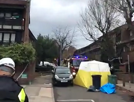 forensic brassey road