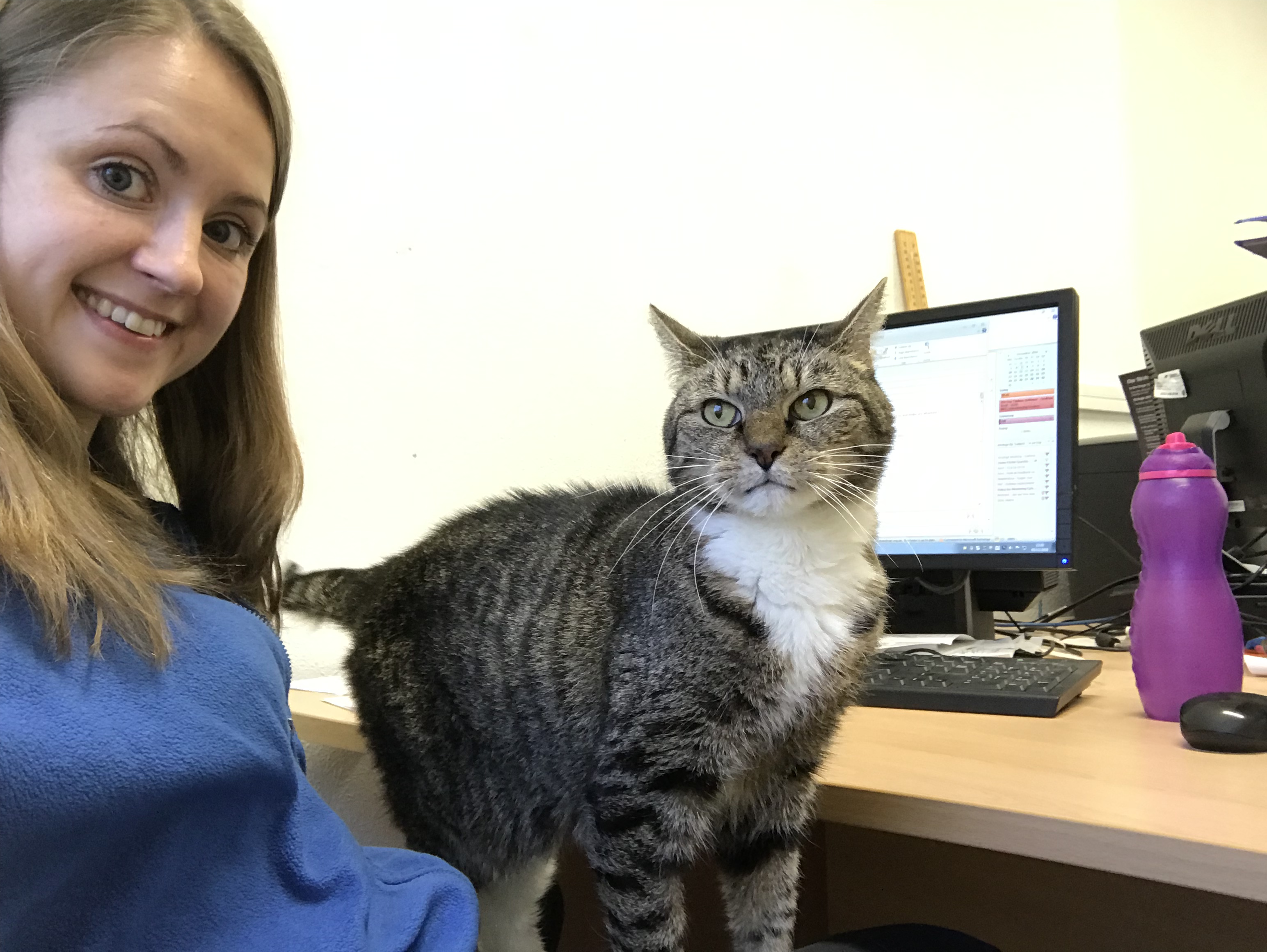 Kahlo the cat finally finds a home after CNJ helps appeal Kahlo the cat with Rosie King