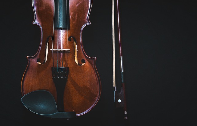 Join the string fellows at the London Fiddle Convention Violin and bow