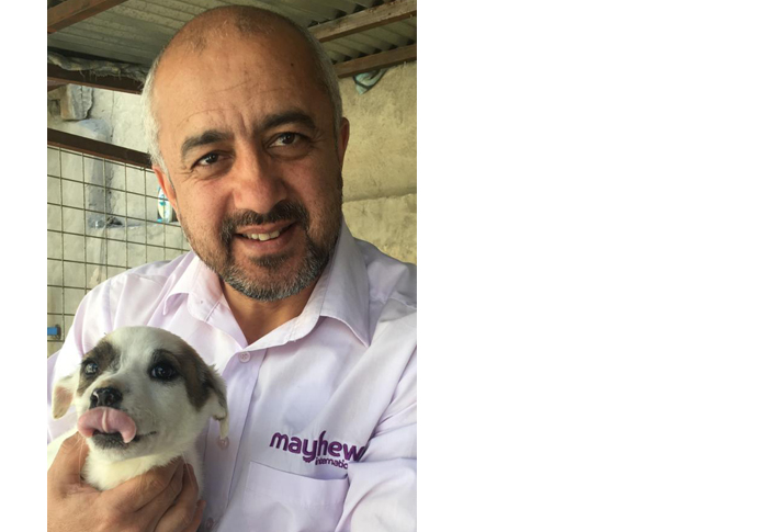Prestigious international award for vet ‘Dr Mo’ Mayhew