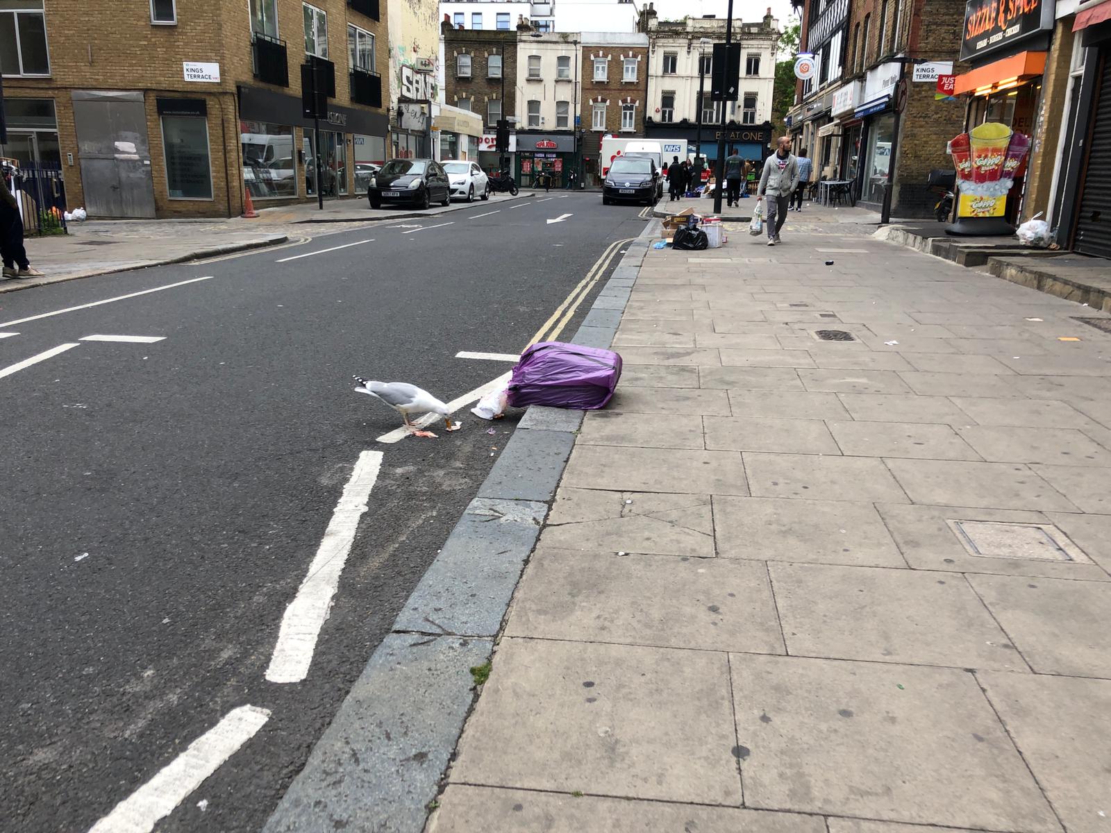 Is the Camden High Street seagull to blame for messy pavements? WhatsApp Image 2019-05-29 at 14.03.22