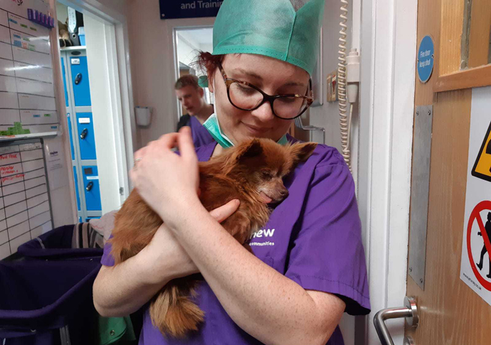 Coco’s Story: The sad side of working behind-the-scenes in a rescue centre p1dfgi496289f1kj01a7vl9v11154