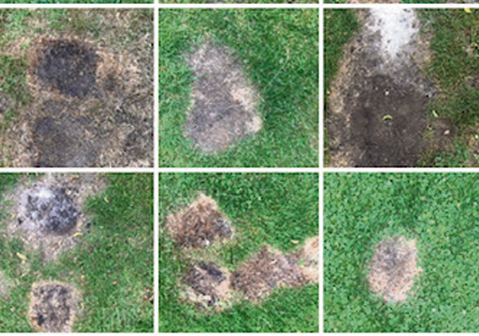 barbecues waterlow park