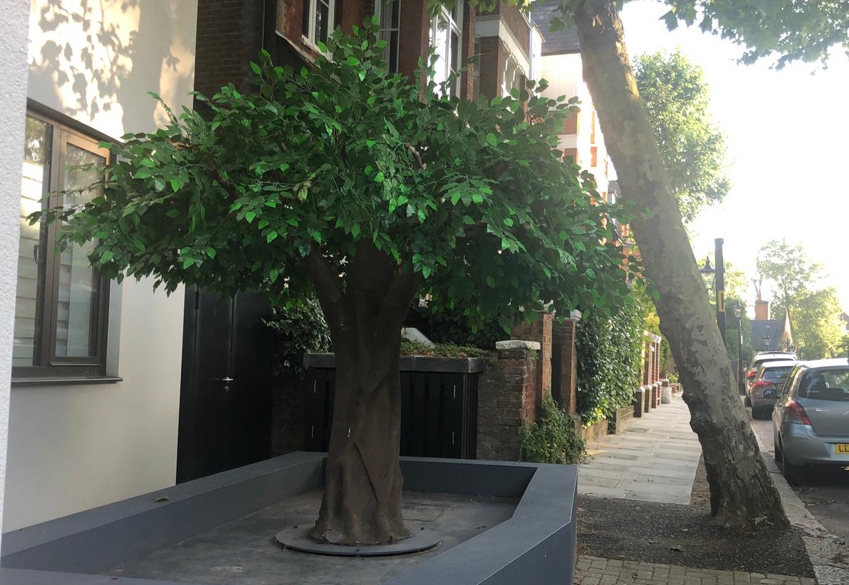Leafy Hampstead? Neighbours object to artificial oak tree tree