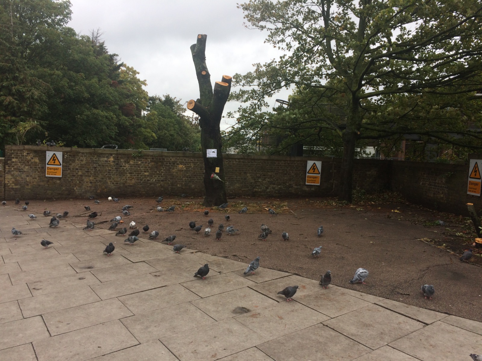 camdennewjournal september 2019 Image 2019-09-27 at 13.43.20 (1)