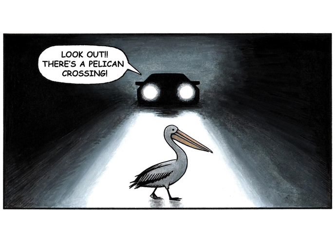 John Sadler Pelican Crossing