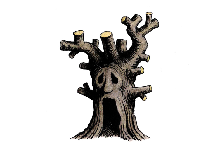 John Sadler - pollarding trees