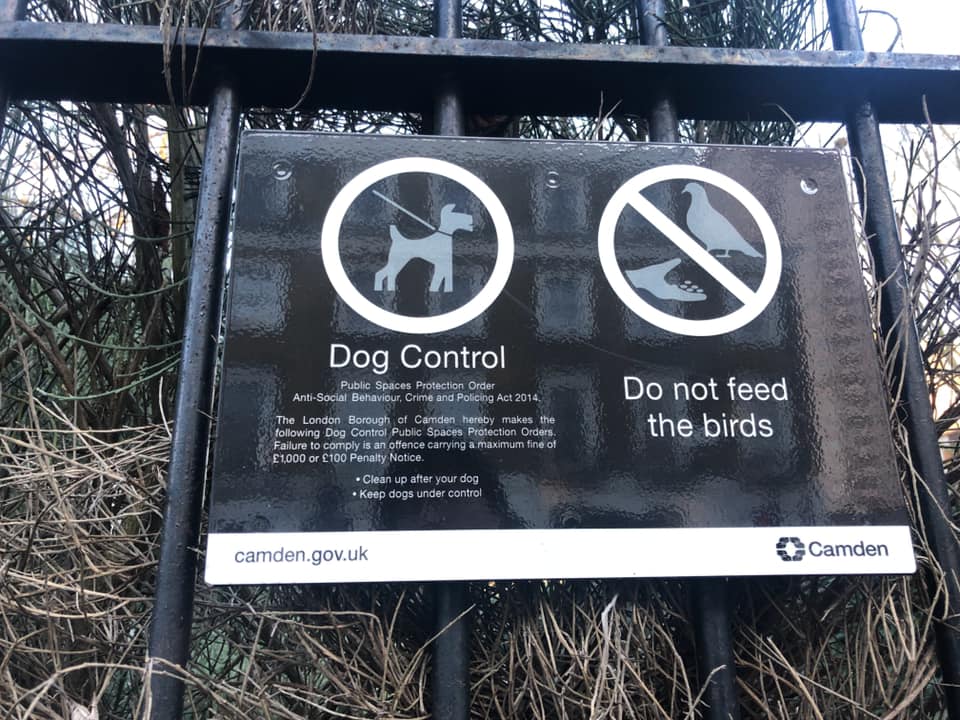 81448756_2704550726287852_5857312412138471424_nno bird feedijng