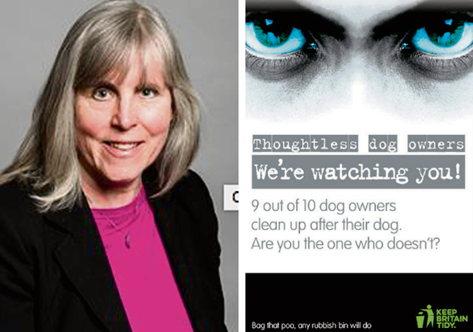 Dog fouling poo poster