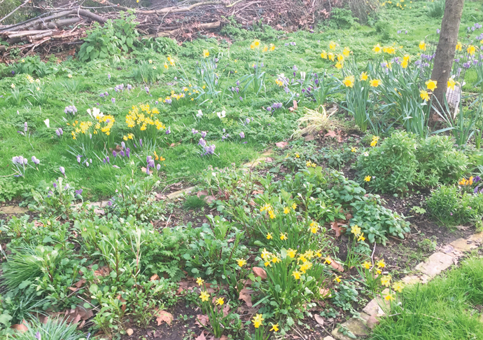 Spring in Gospel Oak 1