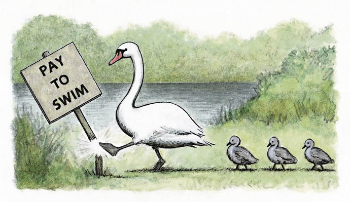 Sadler - Swan pay to swim cartoon