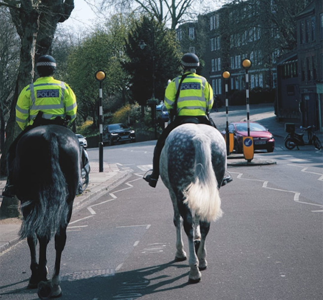 ‘We’d be better at the Olympics if people really exercised this much’ MPS Camden police horses
