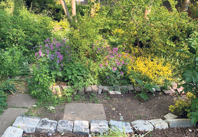 Farnworth letter_oasis