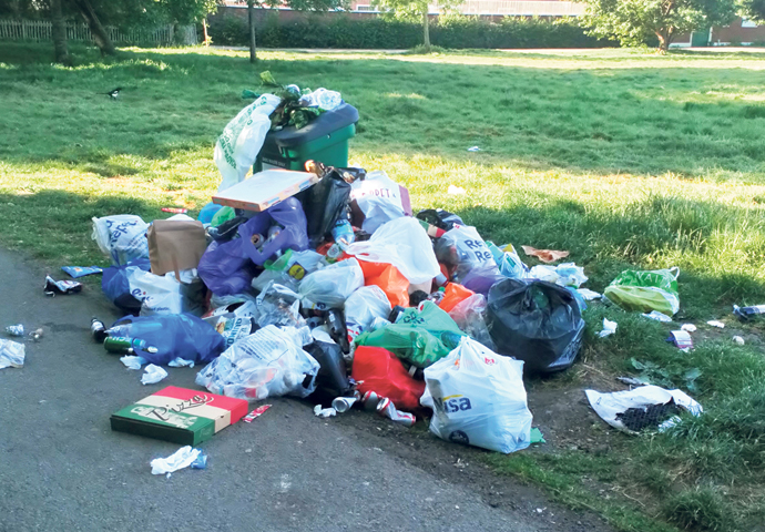 Hampstead Heath litter