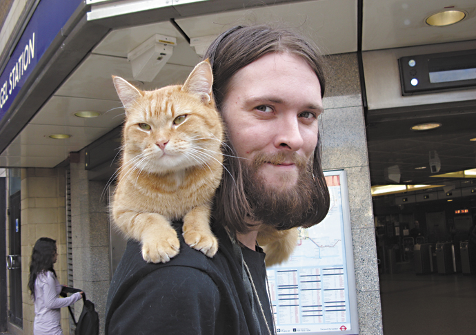 Movie star moggie: there’s never been a cat like Angel station’s Bob James Bowen_Bob the cat_854831