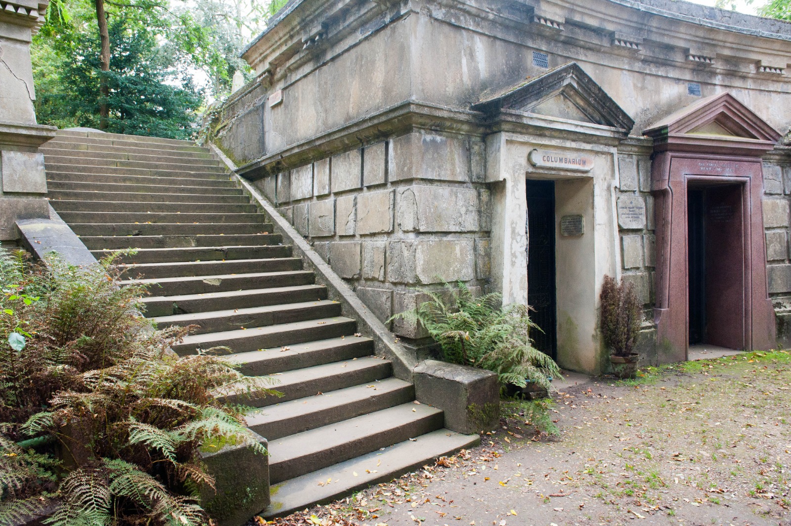 highgate cemetery CNJ Image 2020-07-02 at 10.15.10 (1)