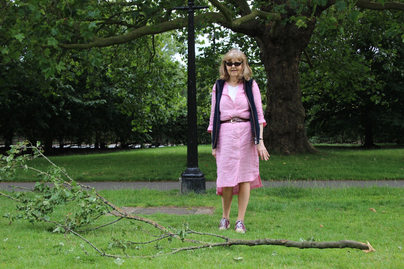 Bark runs! Unlicensed trainers blamed for tree damage in Primrose Hill Jenny mccririck CNJ Image 2020-07-16 at 09.07.59 (10)